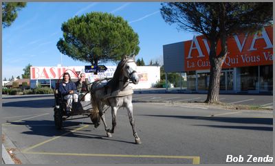 Avignon Nov25,07 (7)